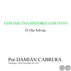 CONTAR UNA HISTORIA CON FOTO - El Ojo Salvaje - Por DAMIÁN CABRERA - Domingo, 28 de Setiembre de 2014